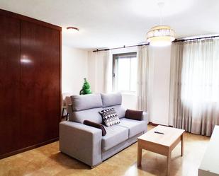 Sala d'estar de Apartament de lloguer en Salamanca Capital amb Calefacció