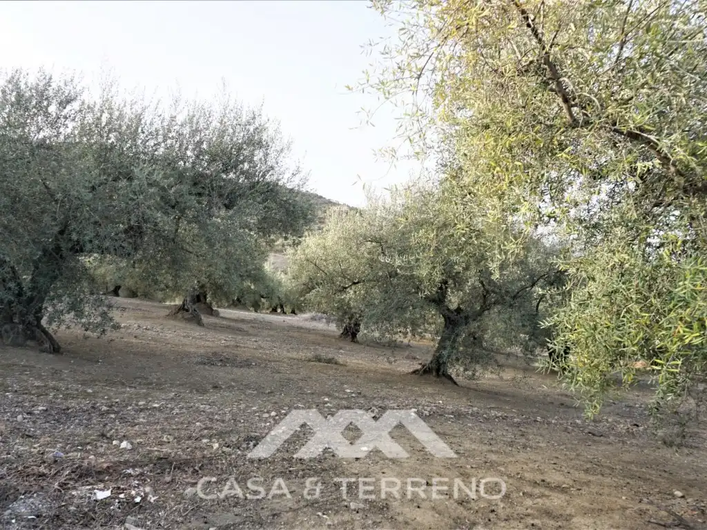 Casa en venta en Alcaucín, imagen 39