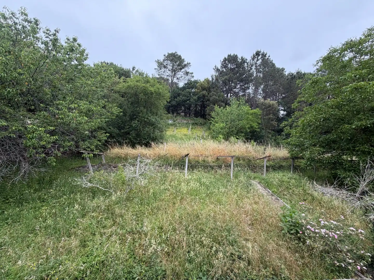 Casa amb jardí en venda a Vila de Cruces, imagen 47