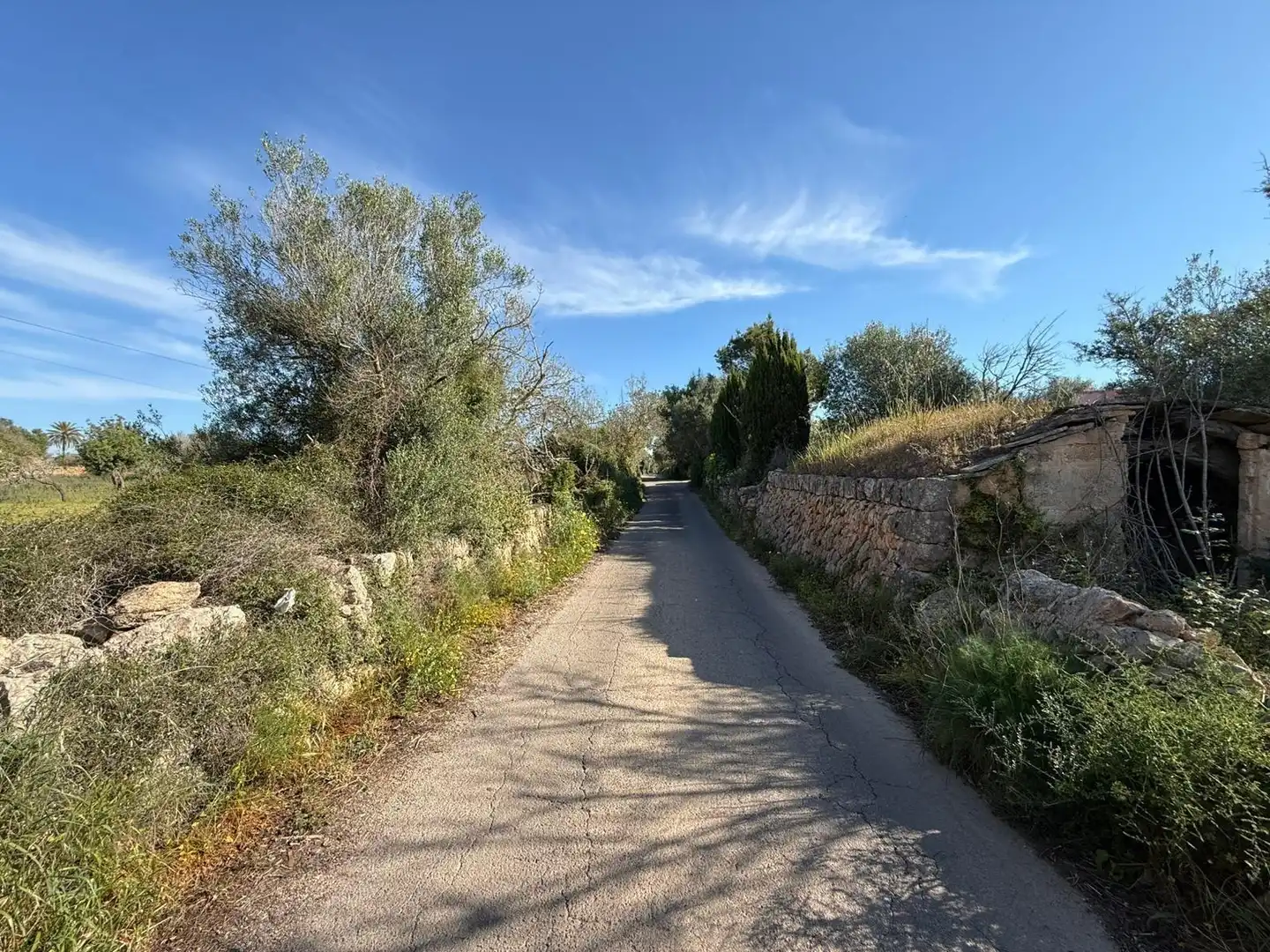 Grundstücke und Bauplätze zum Verkauf in Llucmajor pueblo, imagen 18
