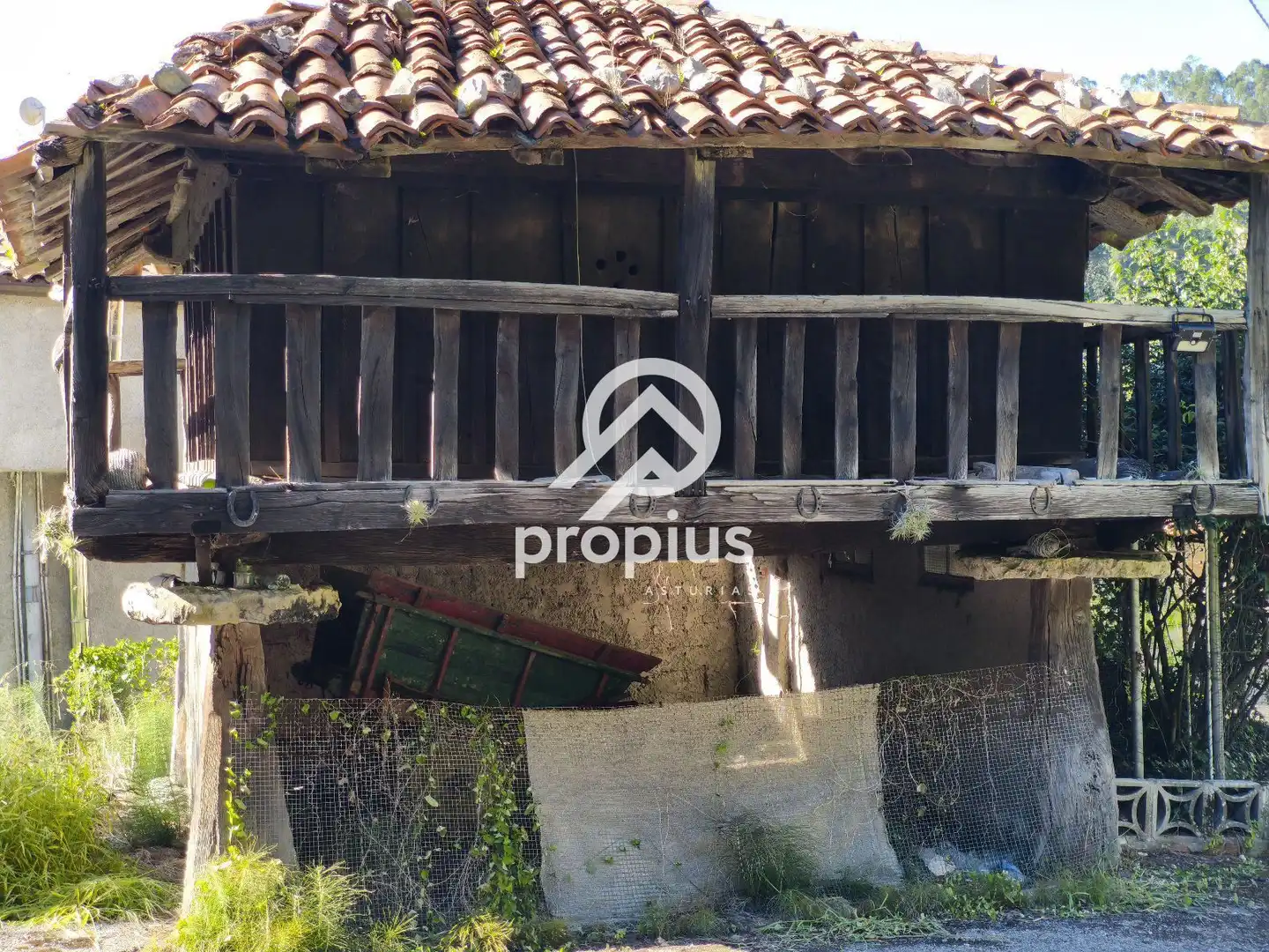 Vista exterior de Casa o chalet en venta en Ribadesella con Jardín privado