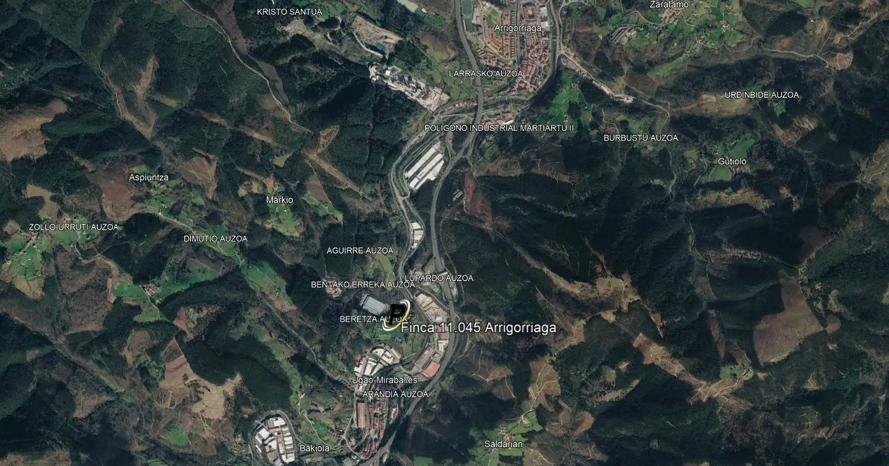 Land for sale in Arrigorriaga