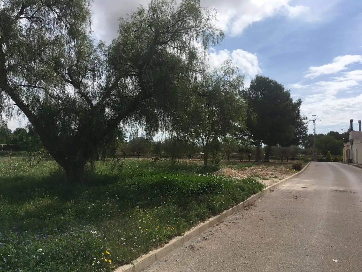 Terreny residencial en venda a Algueña, imagen 9
