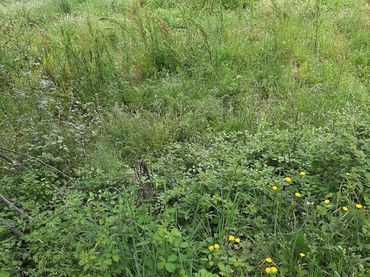 Wohnbaugrundstück zum Verkauf in Campins