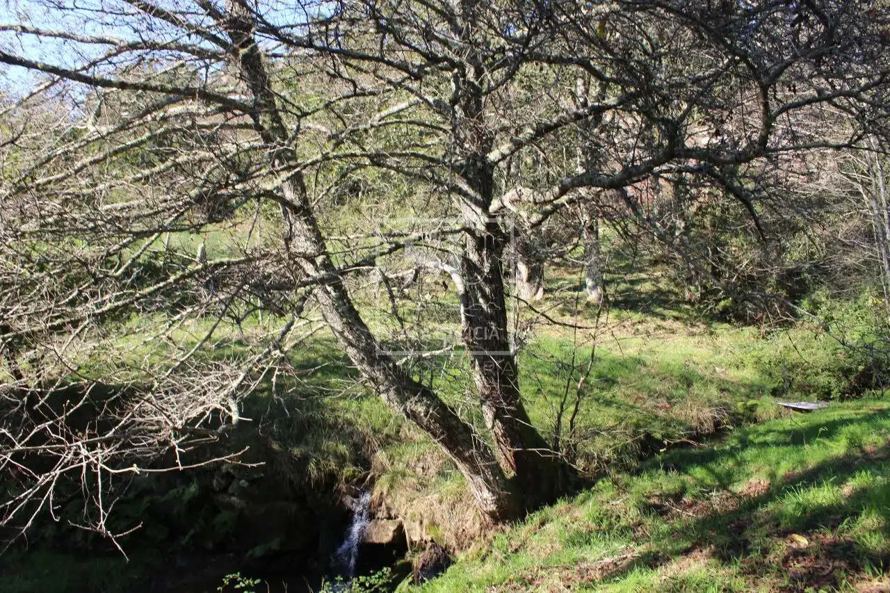 Casa o xalet en venda en Gondomar amb Calefacció, Jardí privat i Moblat