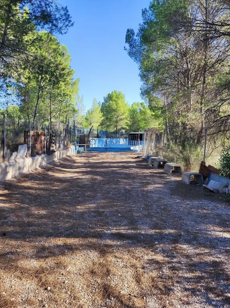 Vista exterior de Finca rústica en venda en Tobarra amb Jardí privat, Terrassa i Traster