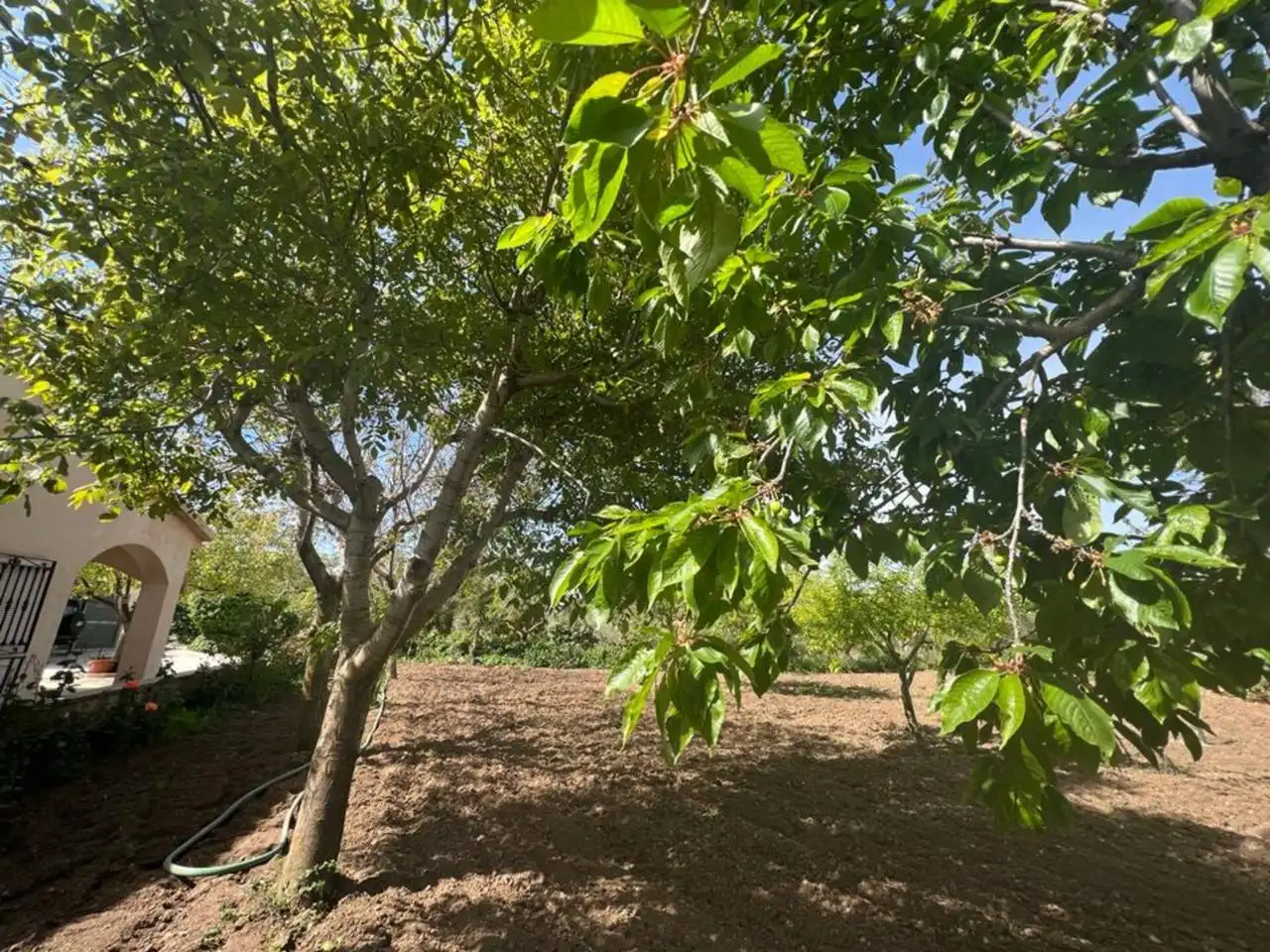 Chalet con jardín en venta en Calle Poligono, imagen 13