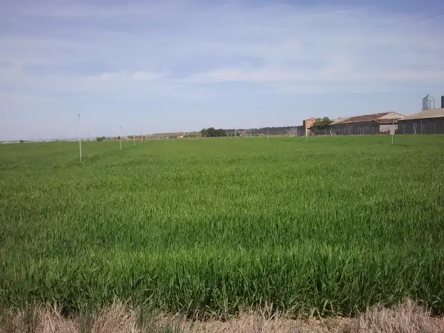 Terreni e lotti in vendita a Sariñena, imagen 5