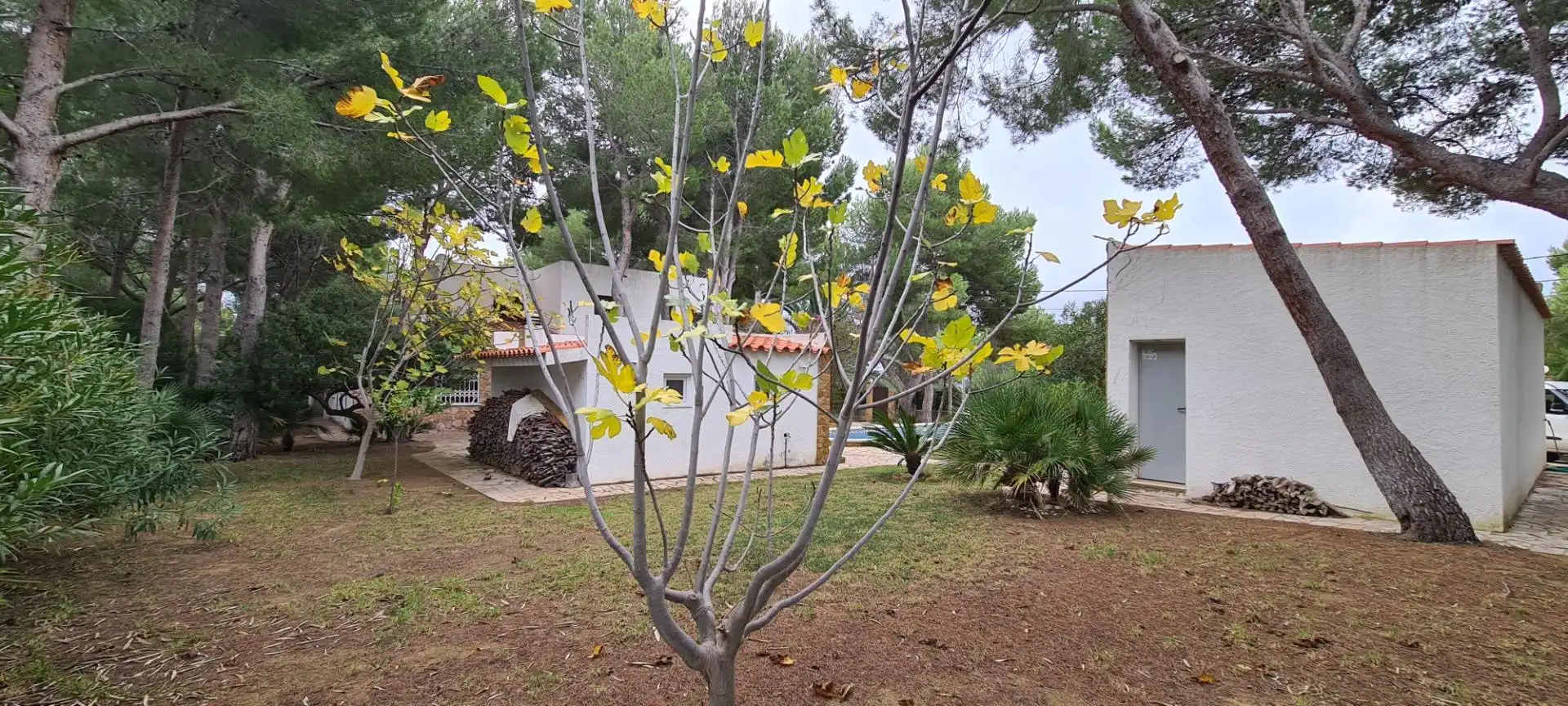 Jardí de Casa o xalet en venda en L'Ametlla de Mar  amb Aire condicionat, Calefacció i Jardí privat