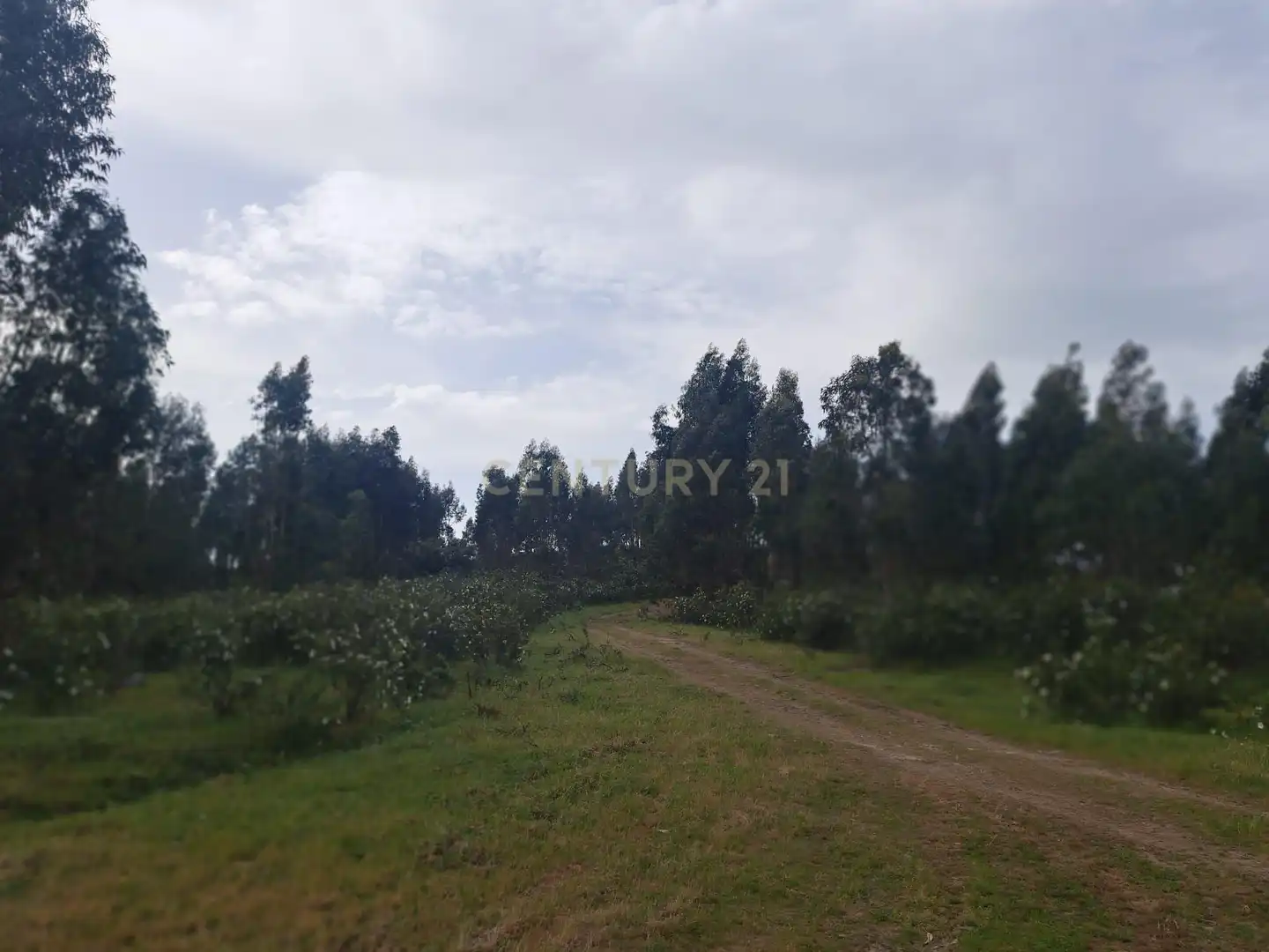 Terreno en venta en Herrera de Alcántara