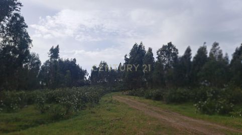 Foto 5 de Terreno en venta en Polígono 3 Parcela 2 la Garapetosa. Herrera de Alc, -1, Herrera de Alcántara, Cáceres