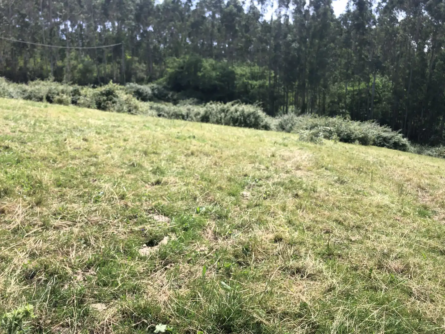 Finca rústica en venta en N/A, -1, Villaescusa (Cantabria)