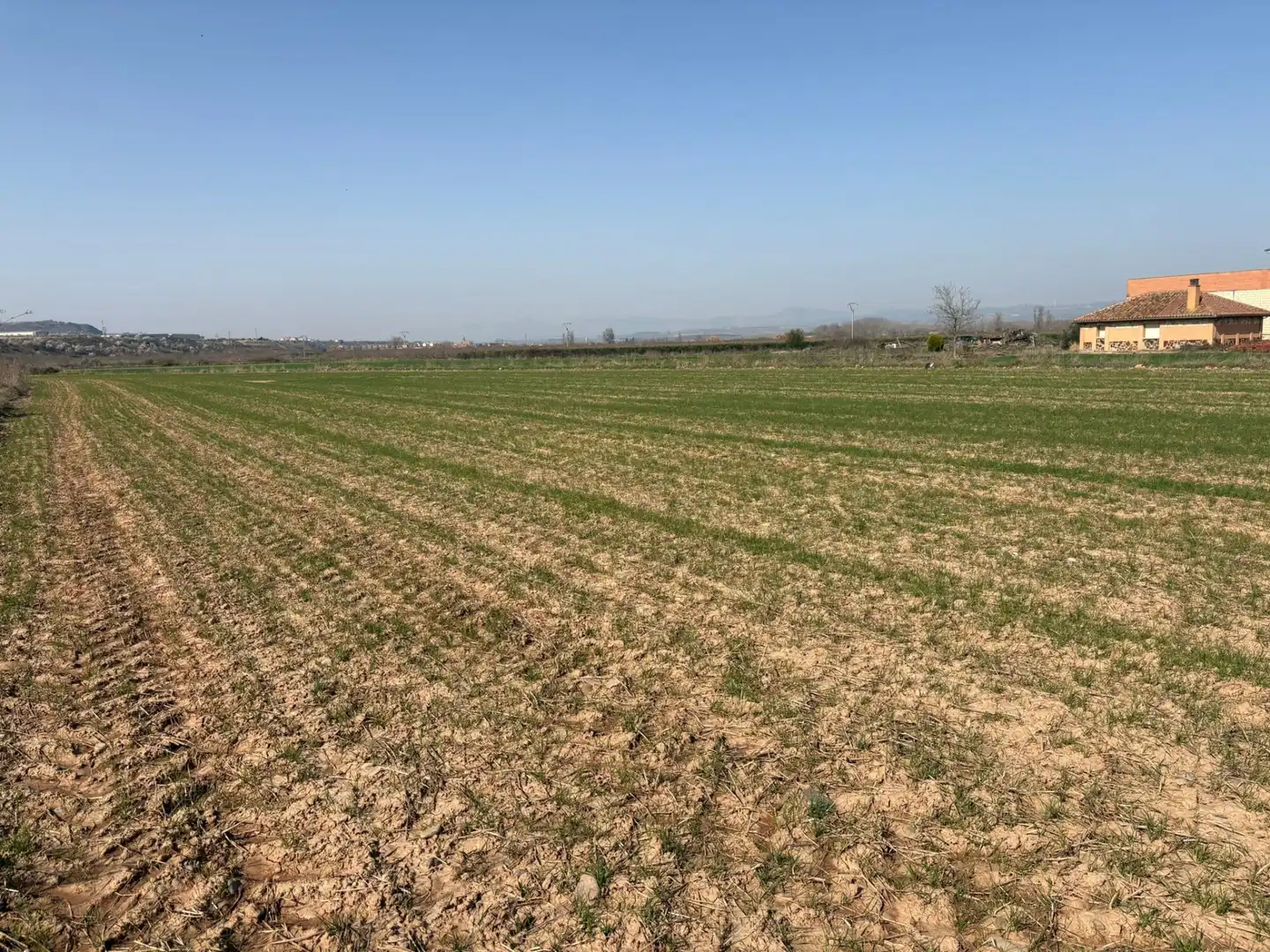 Terreno rustico in vendita a Arrúbal, imagen 4