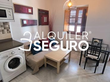 Pis de lloguer a Pureza