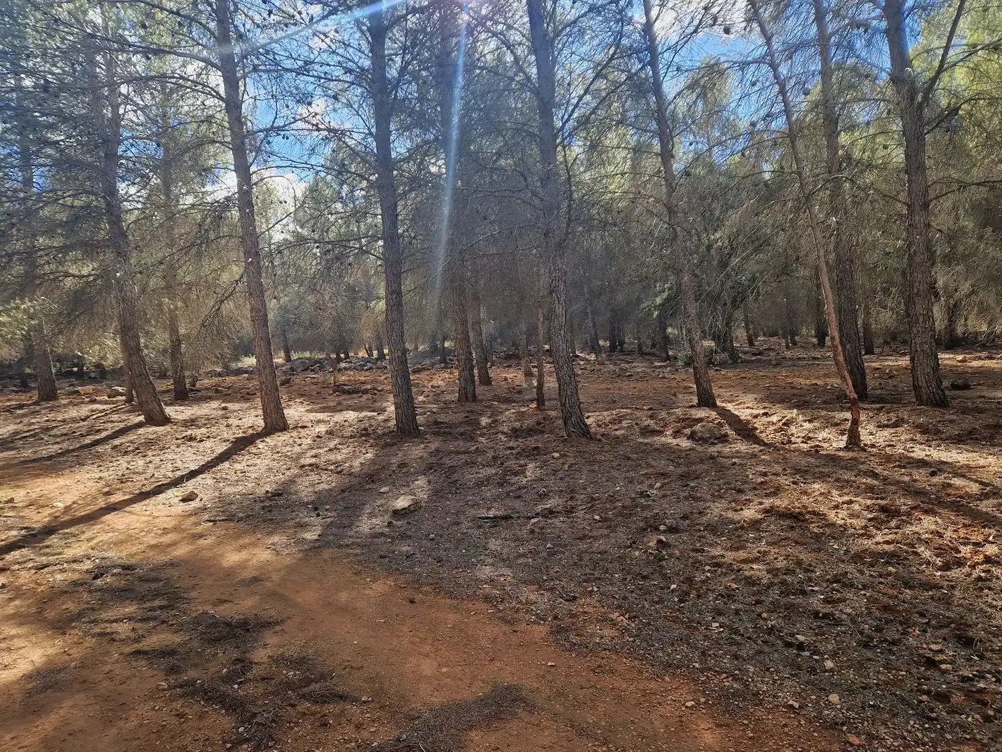 Rural land for sale in Pantano de Peñarroya 0, imagen 51