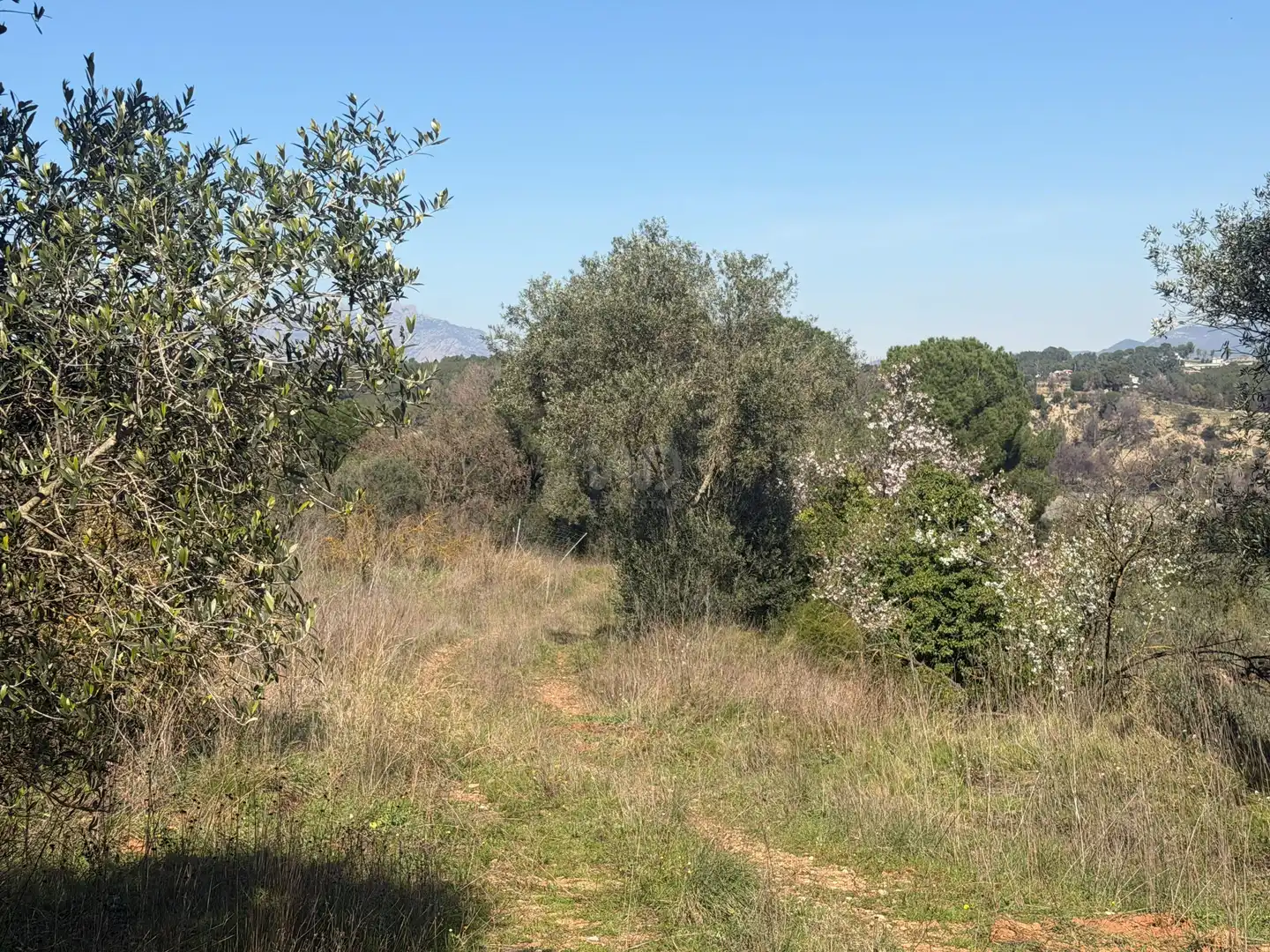 Rustikales Grundstück zum Verkauf in Castellví de Rosanes, imagen 9