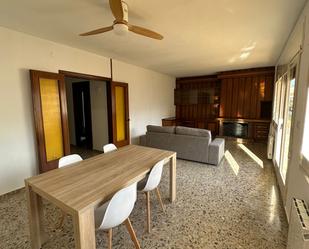 Living room of Flat to rent in  Lleida Capital  with Heating, Terrace and Furnished