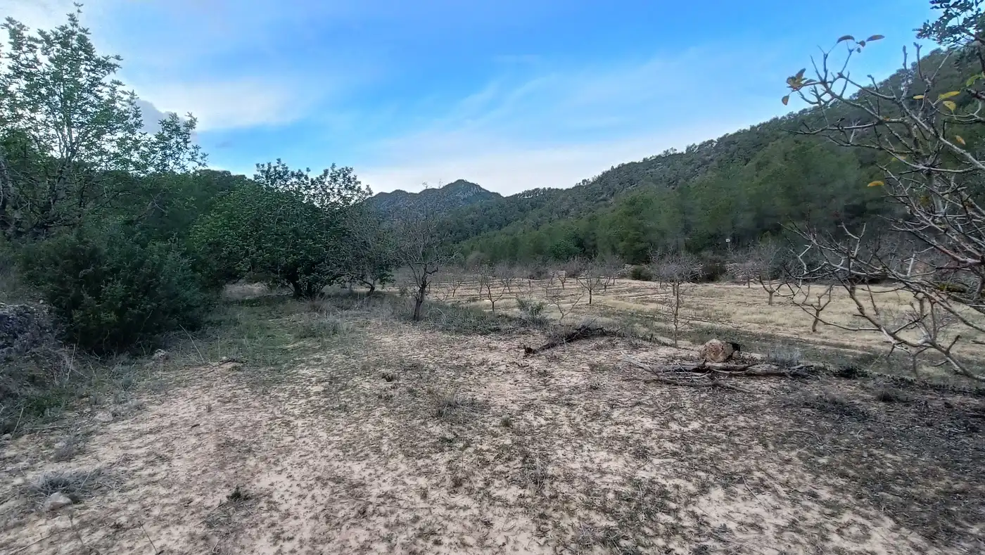 Terreny rústic en venda a Miravet, imagen 19