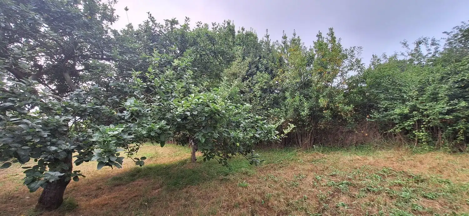 Residencial en venta en Gijón 