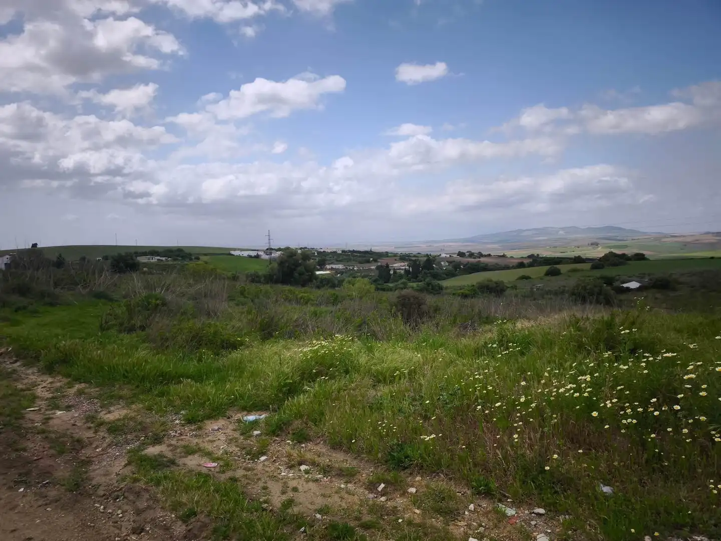 Terreny rústic en venda a Arcos de la Frontera, imagen 4