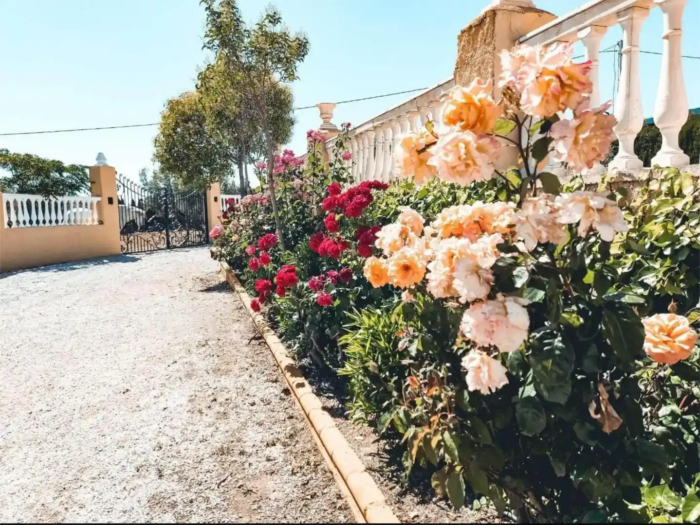 Jardín de Casa o chalet en venta en Baza, Granada