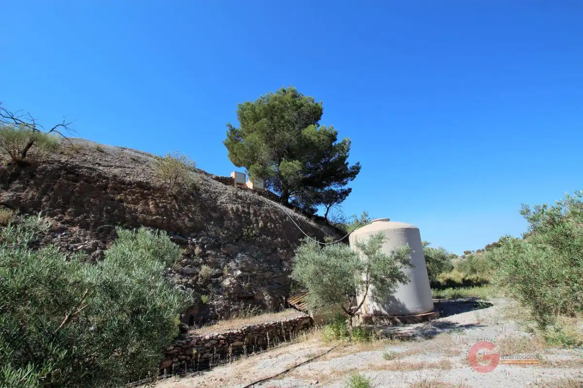 Finca rústica en venta en Los Tablones - La Garnatilla