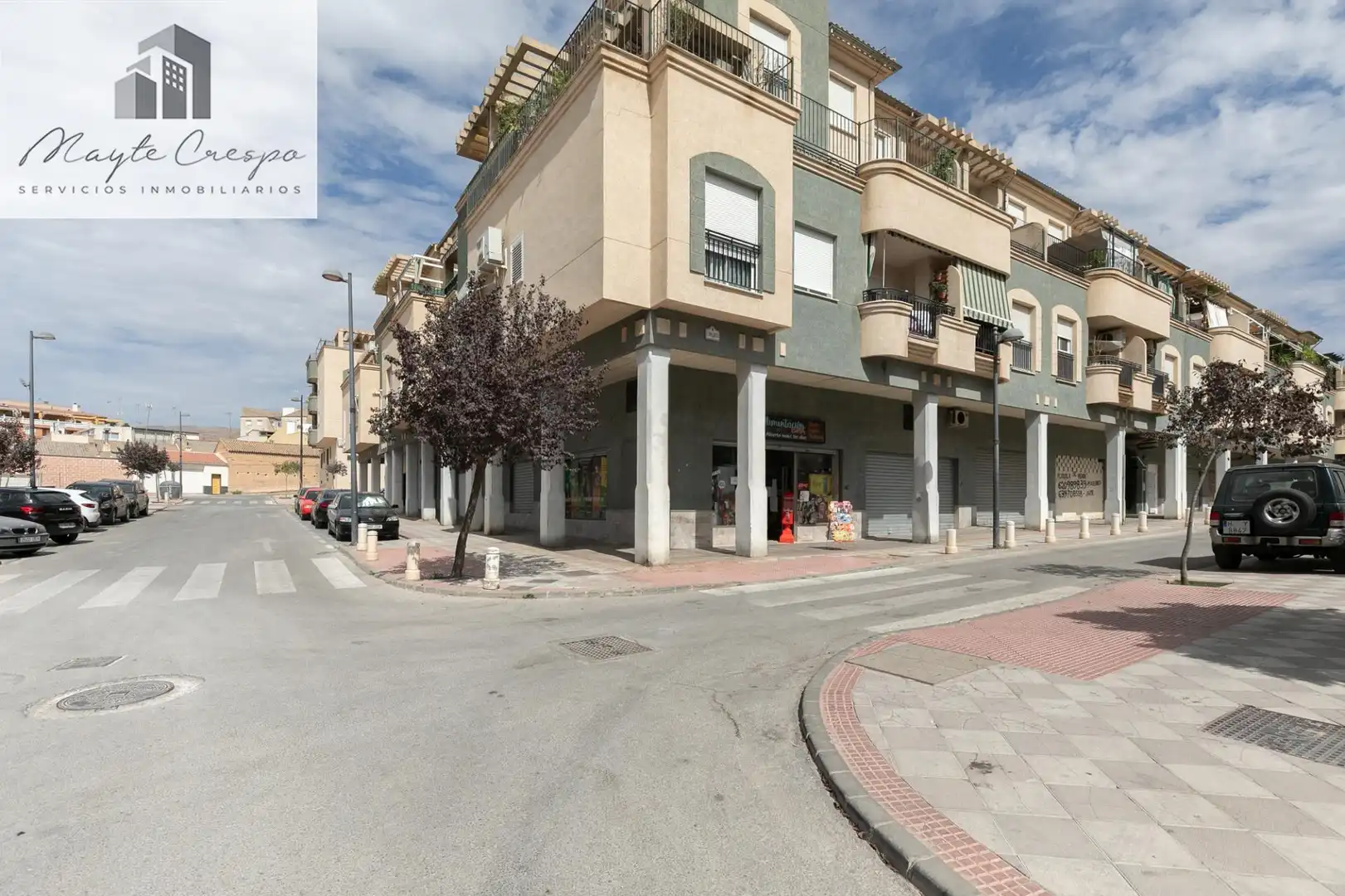 Locale commerciale in vendita a Atarfe, imagen 16