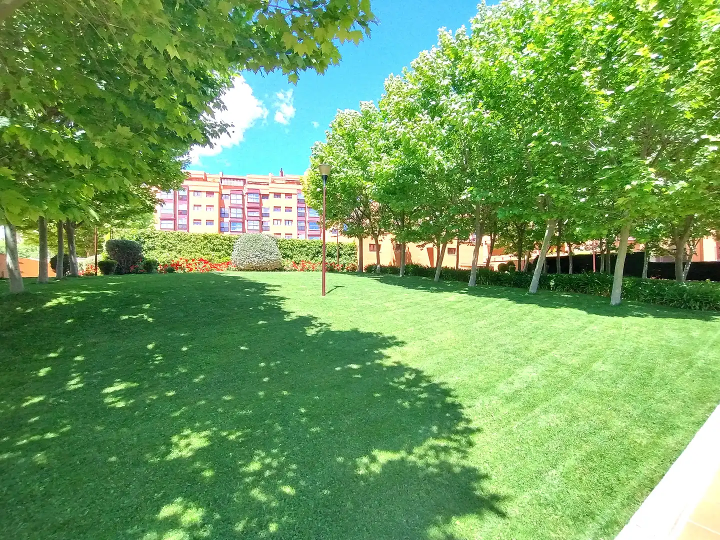 Garten von Dachboden zum Verkauf in Madrid mit Terrasse, Abstellraum und Gemeinschaftspool