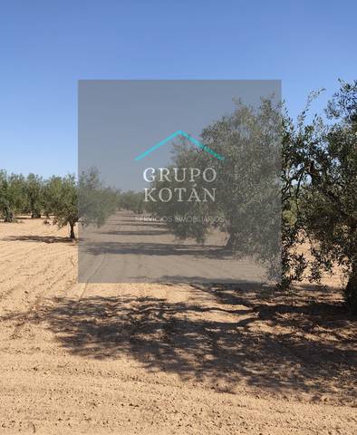 Terreno en Venta en N/A en Almonte ciudad