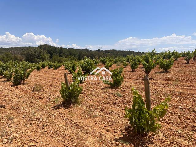 Terreno en Venta en dieciseis, -1 en Venta del Moro