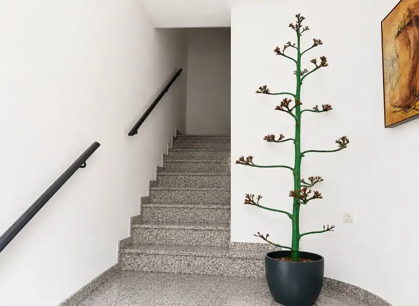 Maison mitoyenne avec jardin à vendre à El Parador de las Hortichuelas