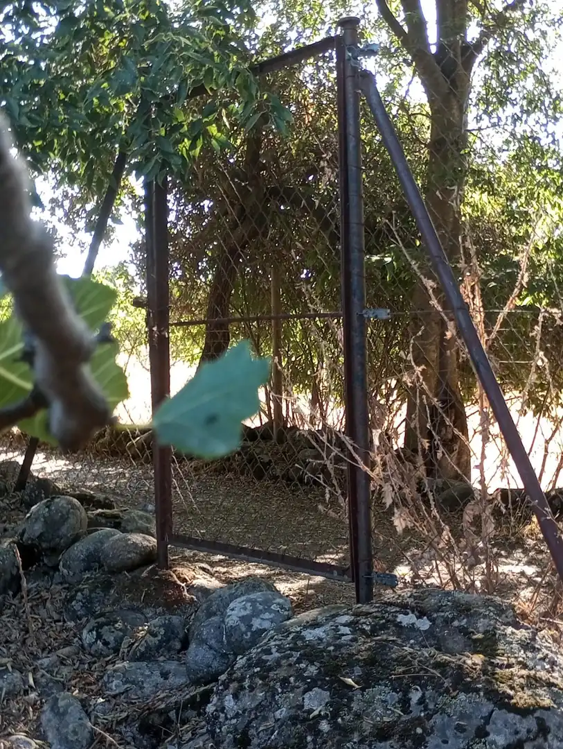 Terreni e lotti in vendita a Candeleda, imagen 6