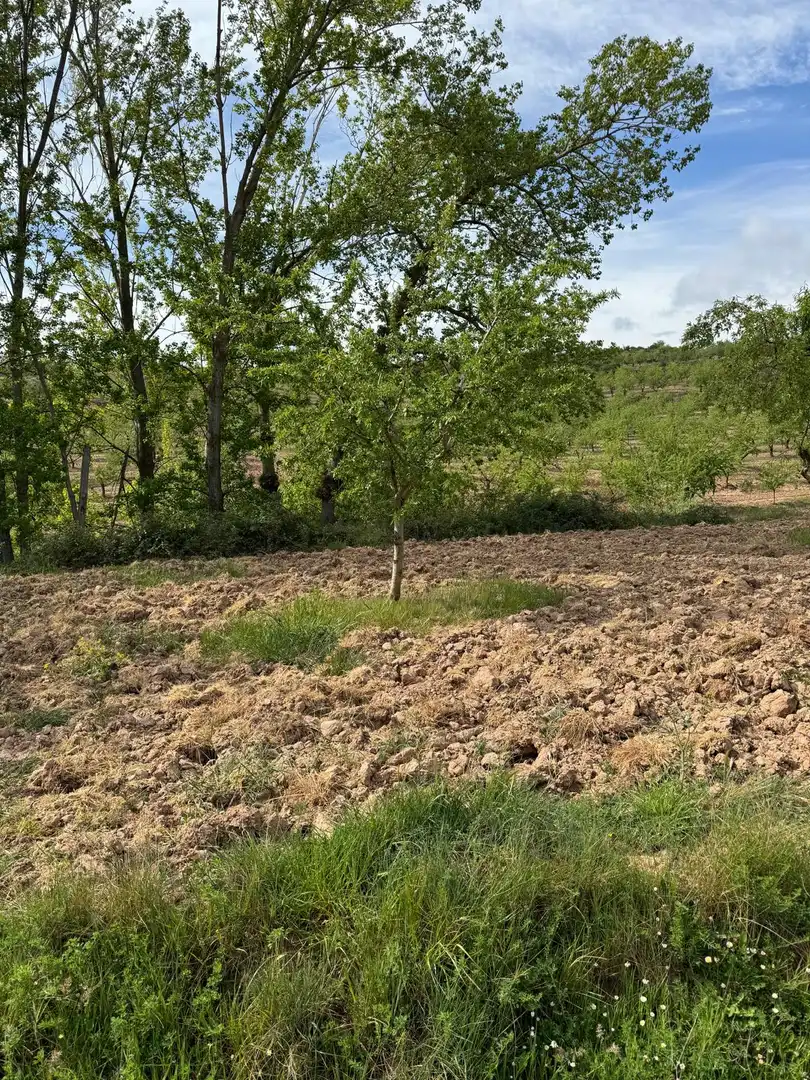 Land for sale in Bergasa