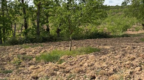 Foto 2 de Terreno en venta en Bergasa, La Rioja
