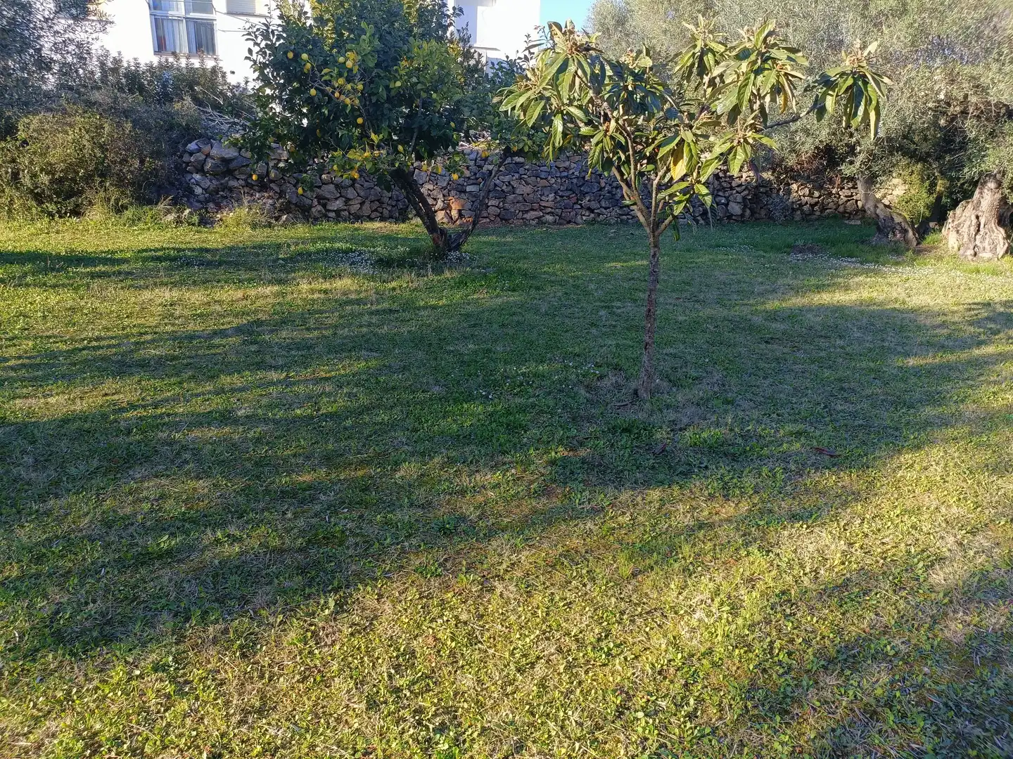 Rustikales Grundstück zum Verkauf in Calle Mirador del Codolar, imagen 6