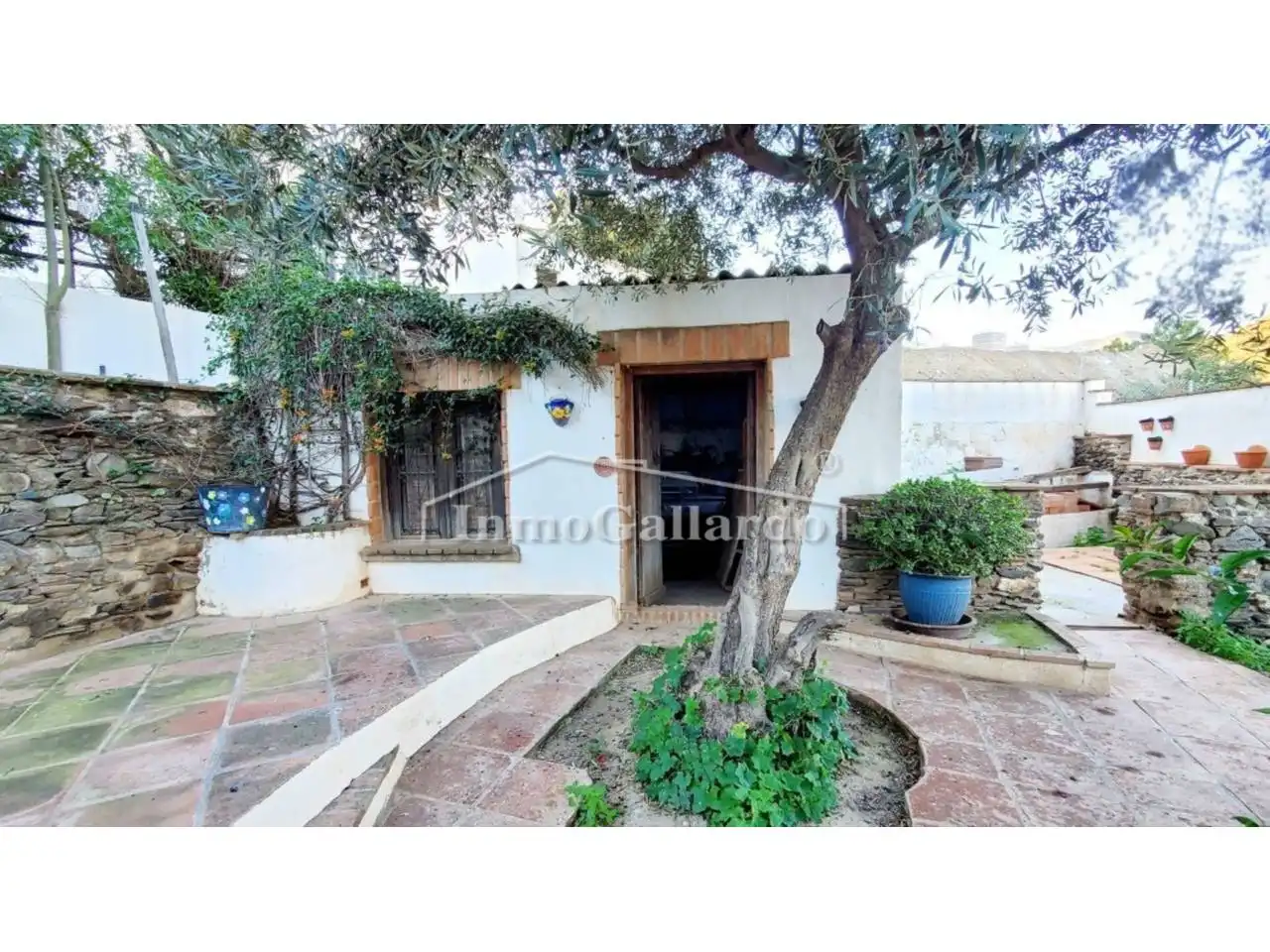 Jardín de Casa o chalet en venta en Macharaviaya con Jardín privado y Terraza