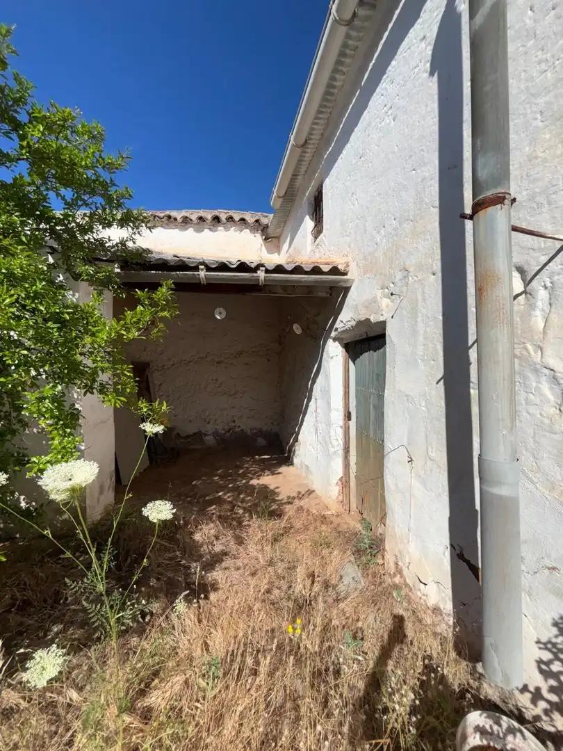 Vista exterior de Casa o chalet en venta en Moral de Calatrava