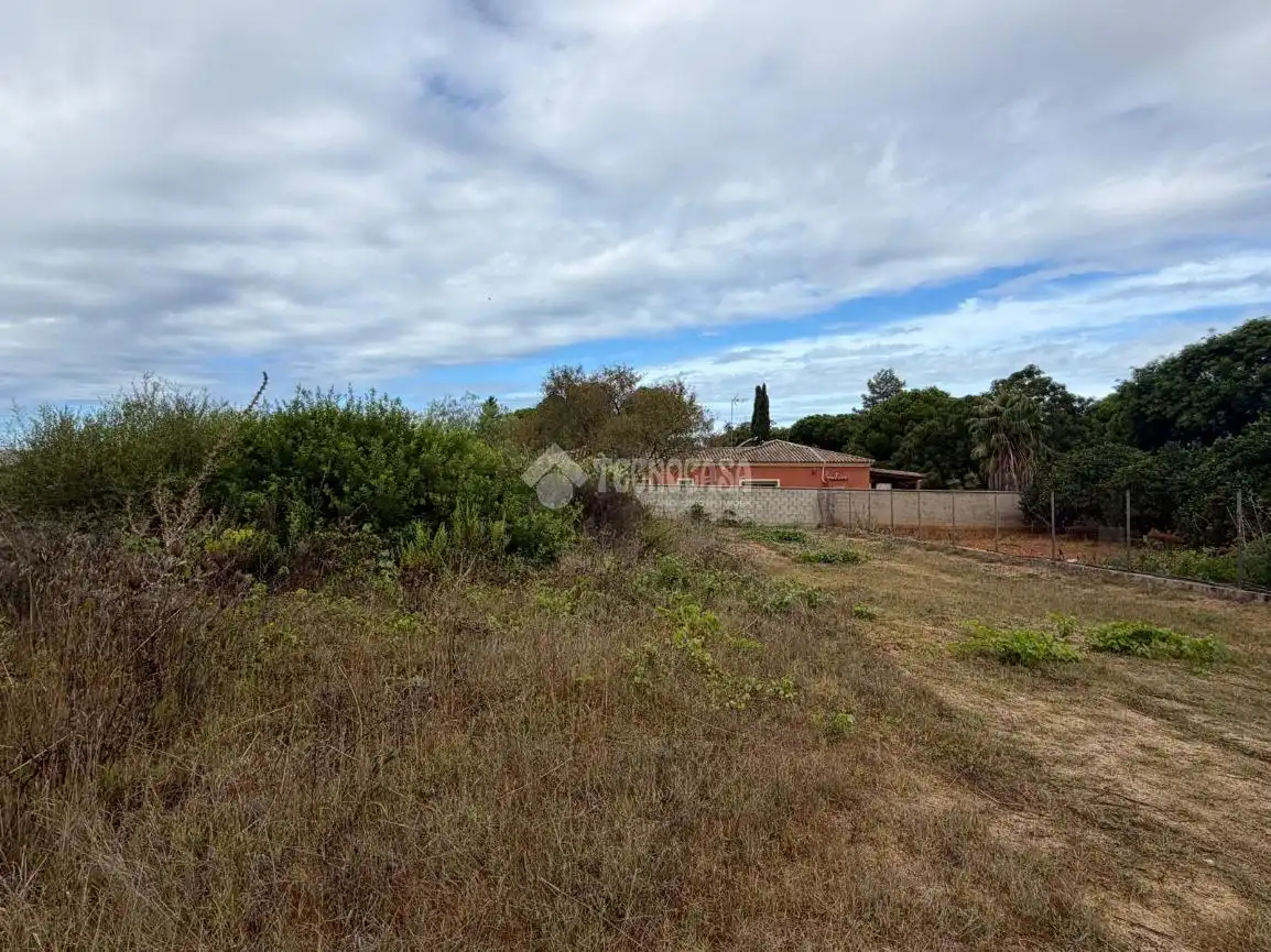 Rural land for sale in Las Lagunas - Campano, imagen 5