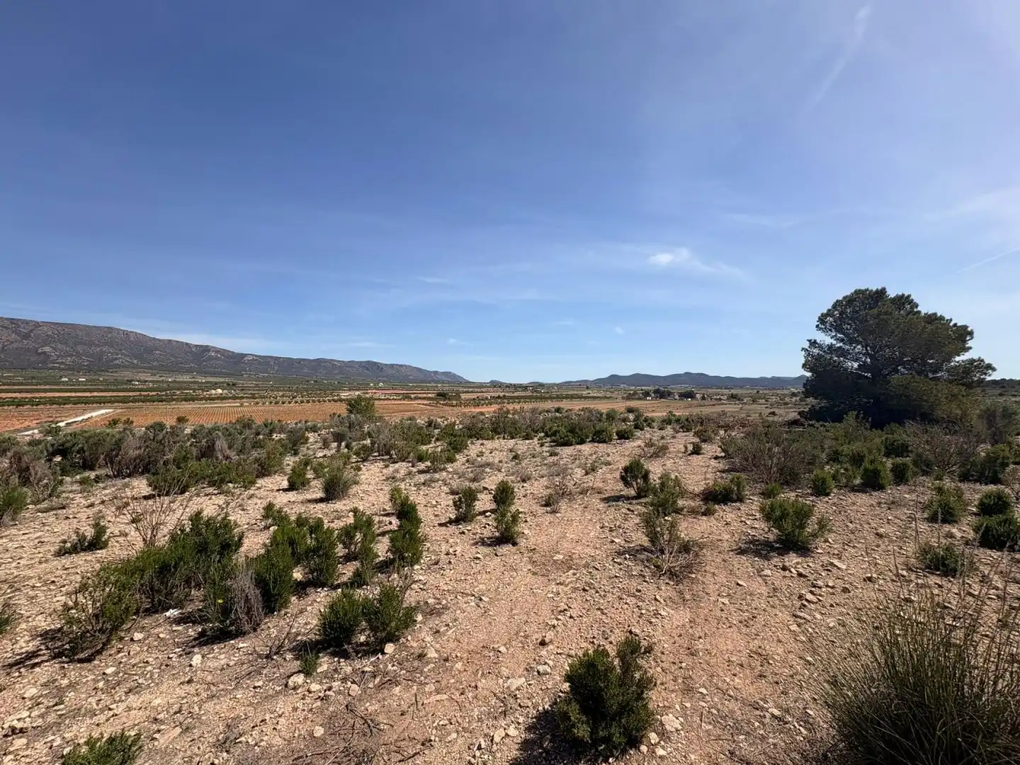 Terreno residencial en venta en El Pinós / Pinoso