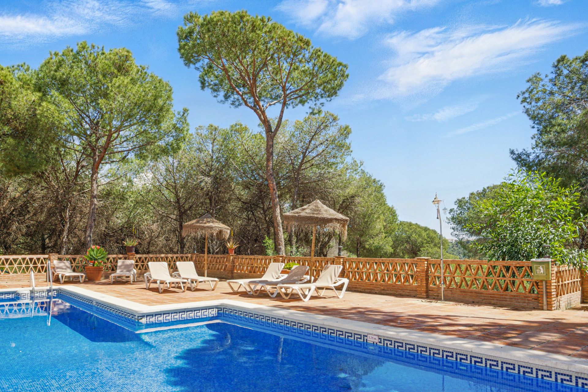 Jardí de Àtic en venda en Marbella amb Aire condicionat, Terrassa i Piscina
