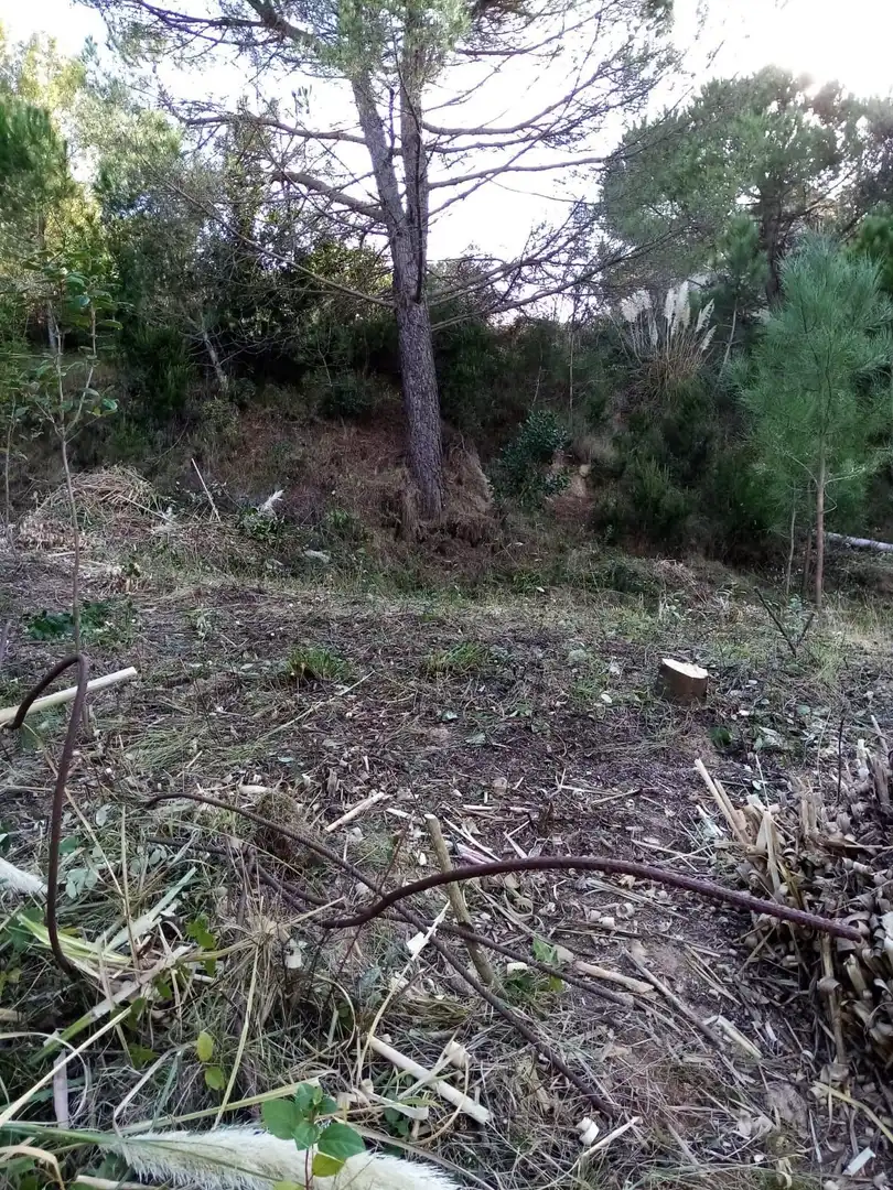 Terrenos y solares en venta en Lloret Residencial - Montlloret, imagen 10