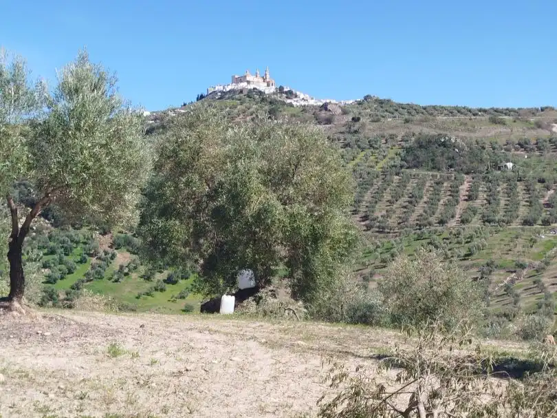 Vista exterior de Terreno en venta en Olvera