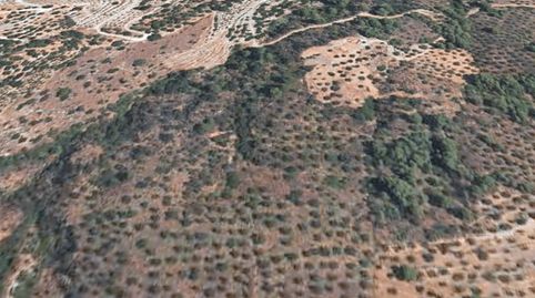 El terreno rústico ubicado en el paraje Las Lomillas en Otívar es una extensión de 8250 metros cuadrados dedicada principalmente a