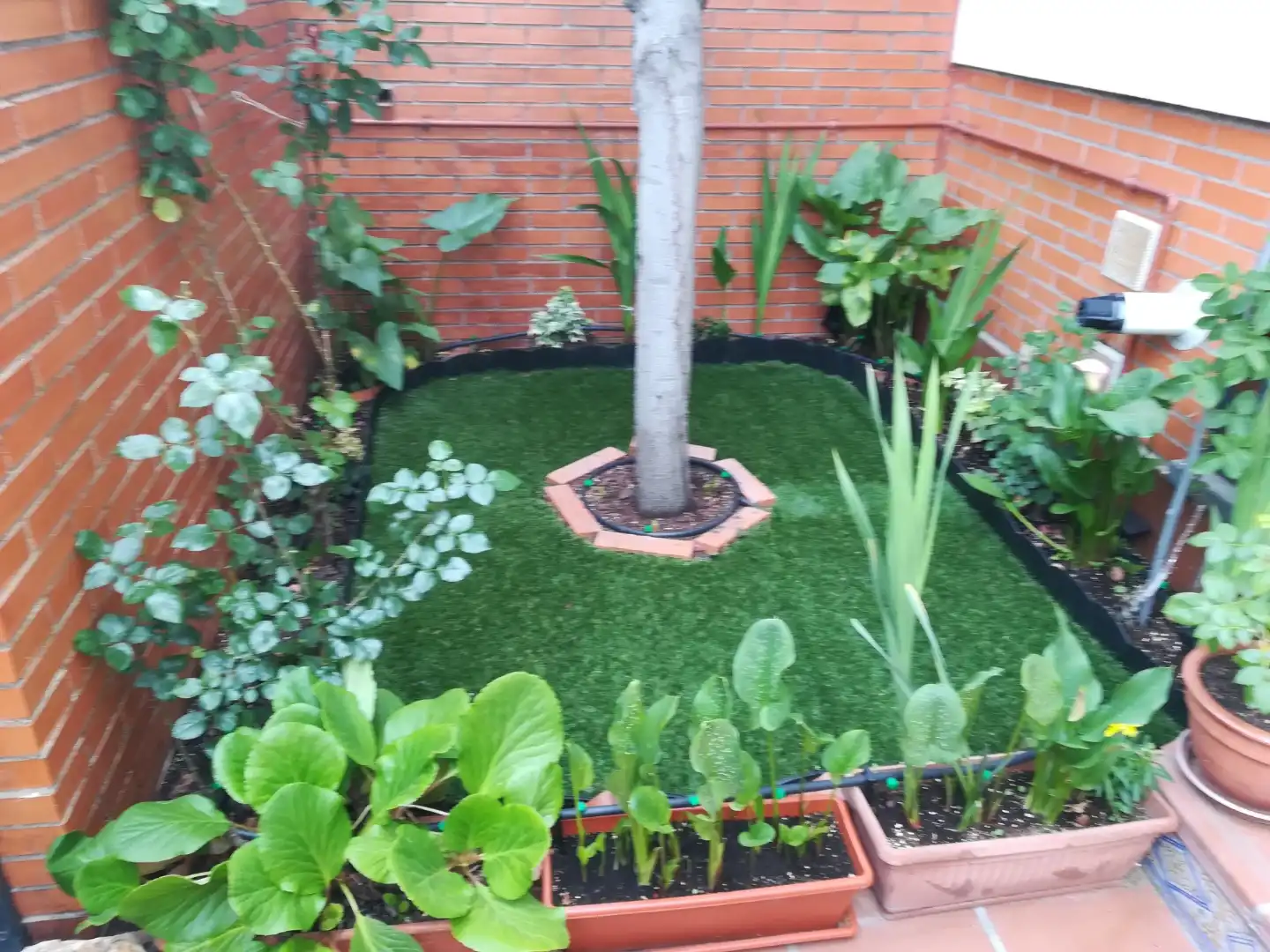 Jardín de Casa o chalet para compartir en Madrid con Jardín privado, Parquet y Terraza