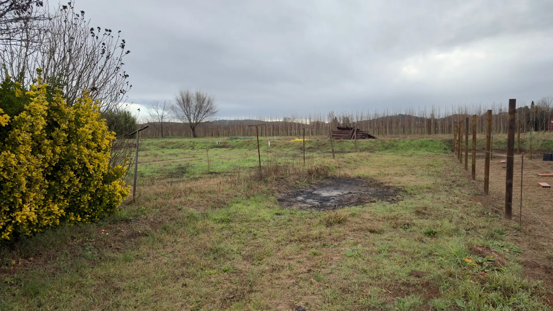 Terreno residencial en venta en Travessia Aimeric, imagen 3