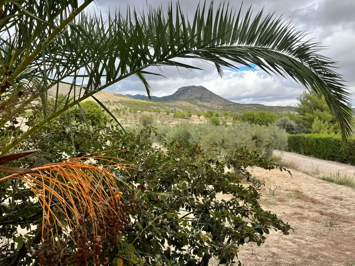 Casa rústica amb piscina en venda a Camino VIAL-5(EL LLANO)