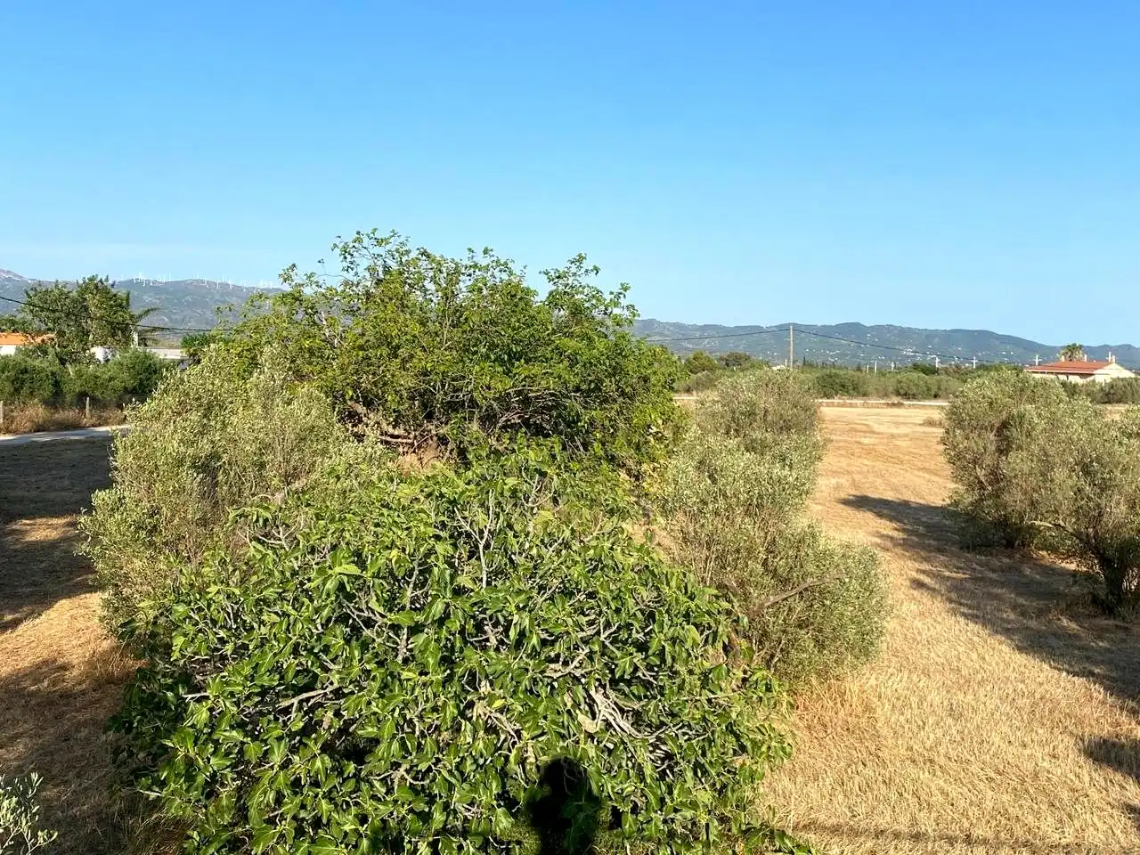 Finca rústica en venta en Aldover con Terraza y Piscina