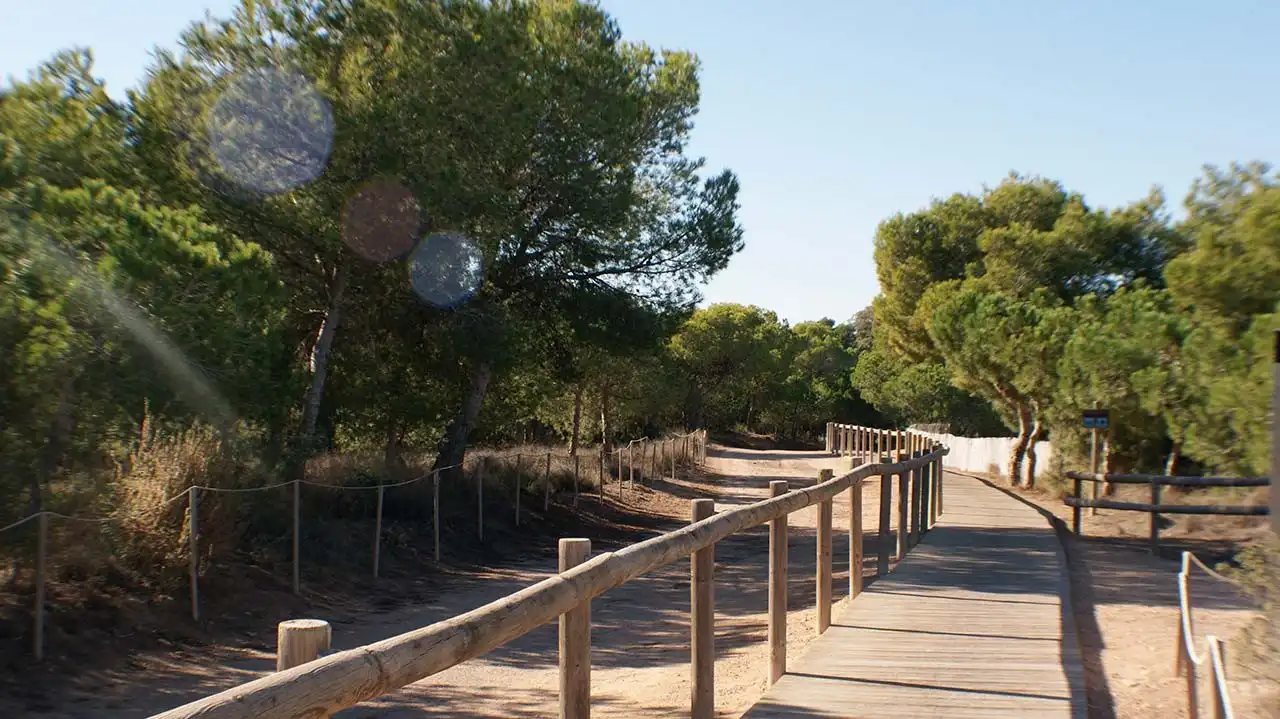 Casa en venta en Nueva Torrevieja - Aguas Nuevas, imagen 31