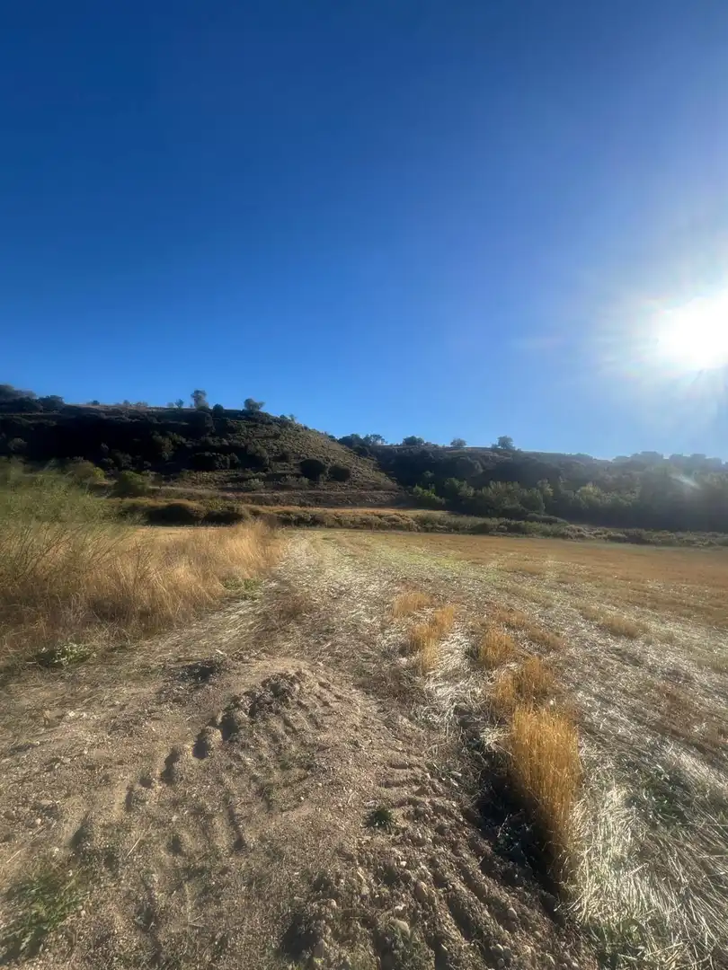 Terreny rústic en venda a Los Santos de la Humosa, imagen 3