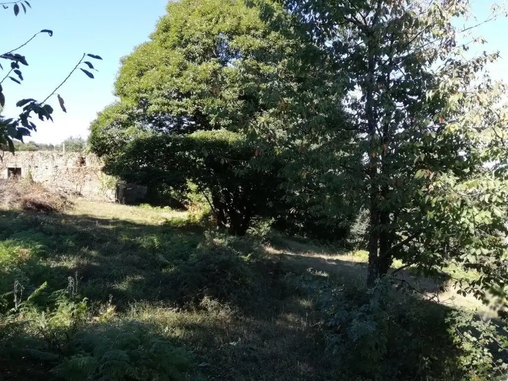 Casa o chalet en venta en Silleda con Jardín privado